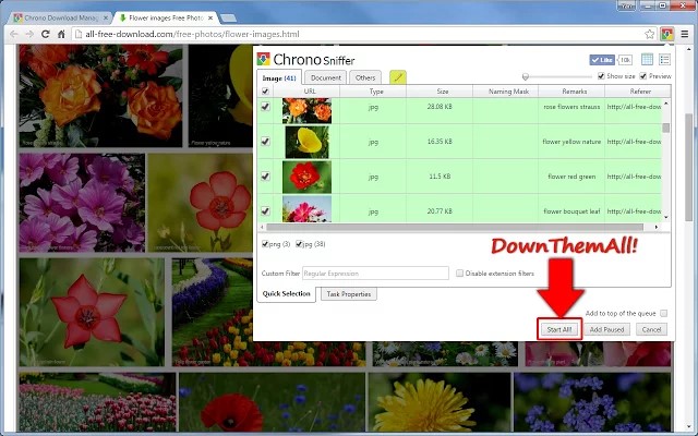 Скриншот 5 программы Chrono Download Manager