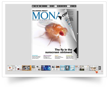 Скриншот 5 программы FlowPaper