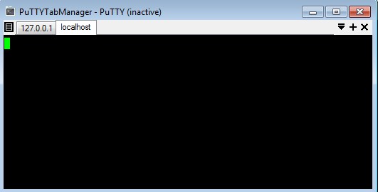 Скриншот 3 программы Putty Tab Manager