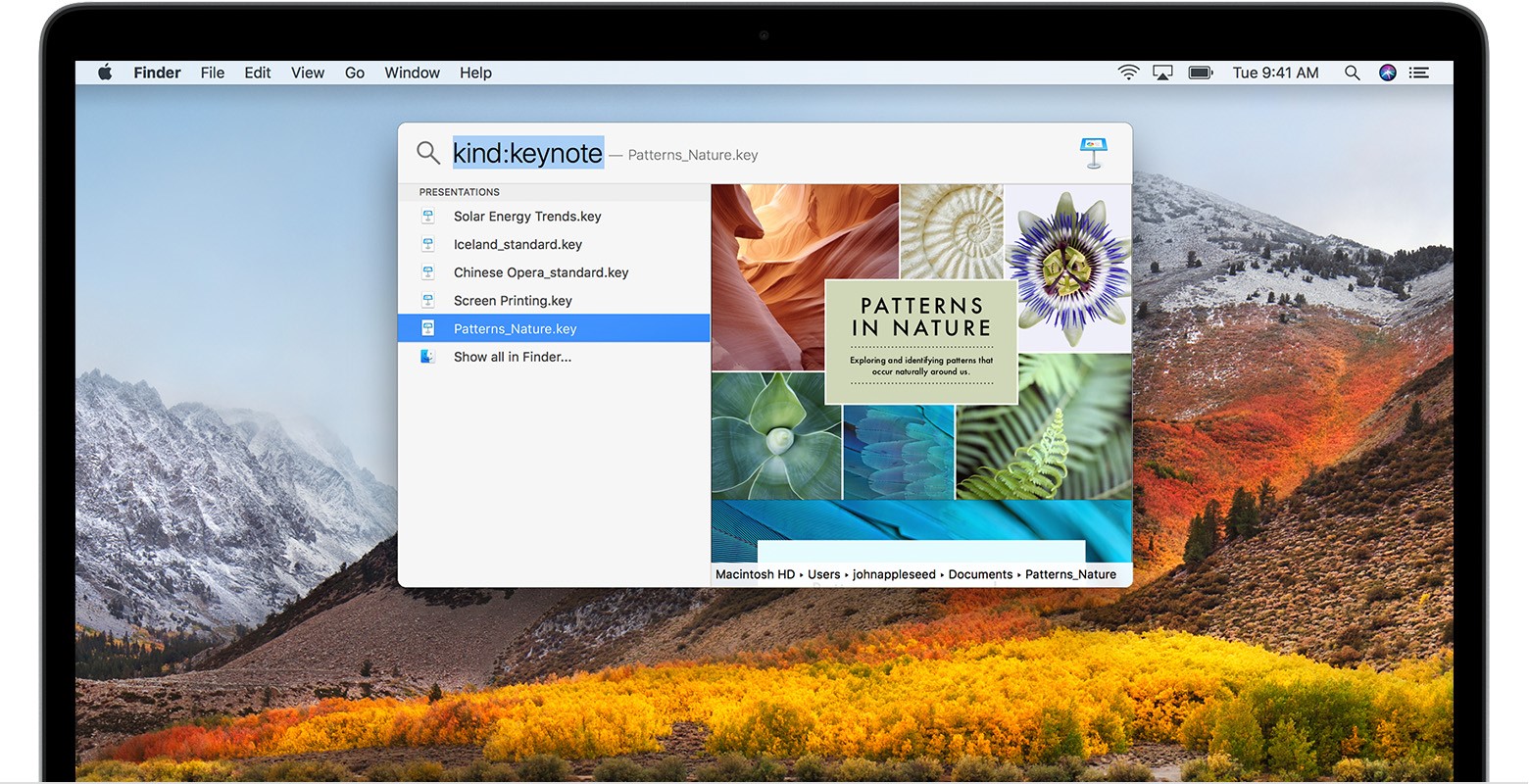 Скриншот 3 программы Spotlight