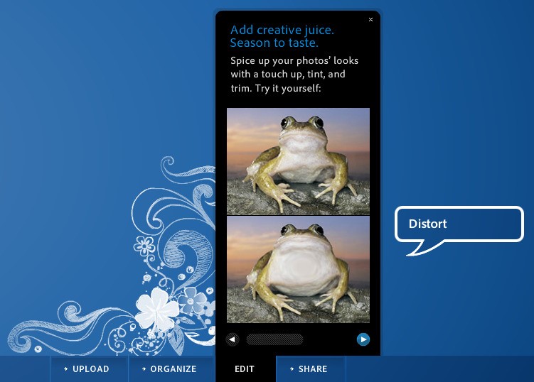 Скриншот 6 программы Adobe Photoshop Express