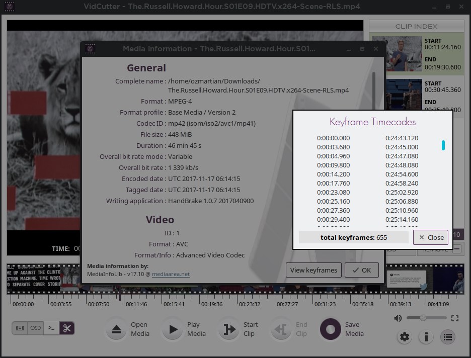 Скриншот 4 программы VidCutter