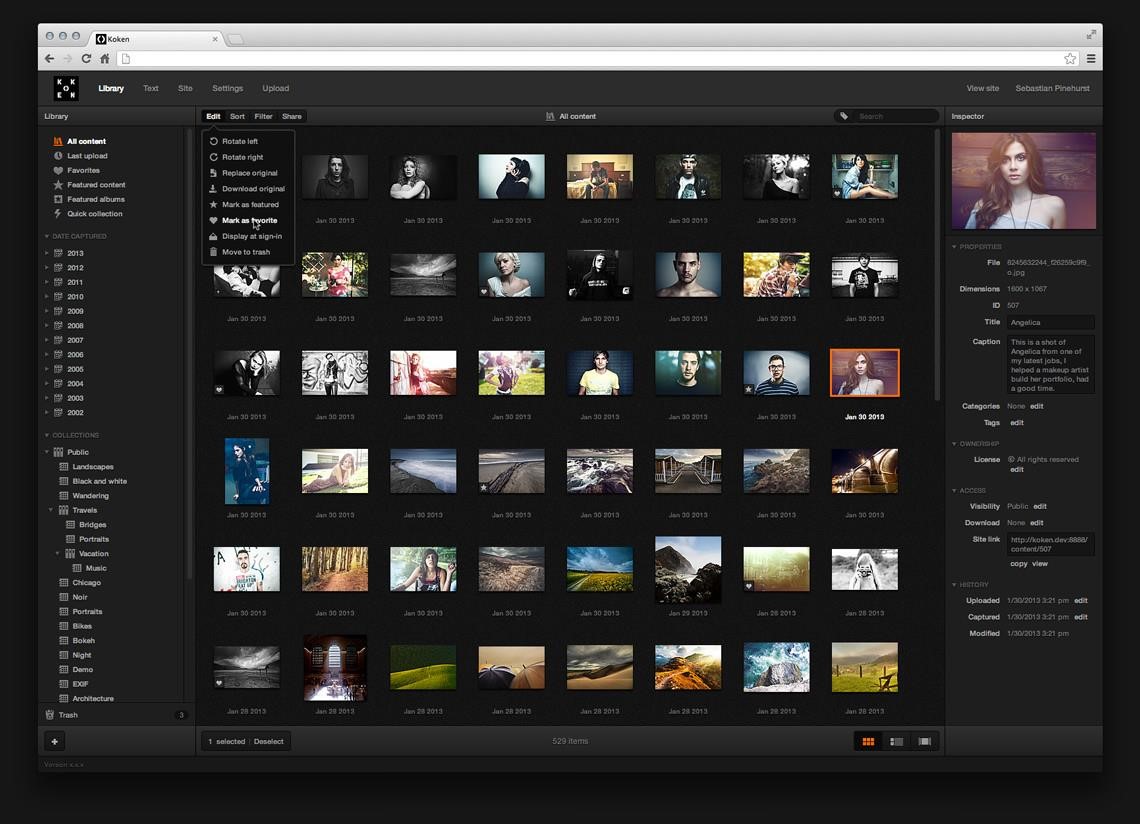 Скриншот 3 программы Koken.me