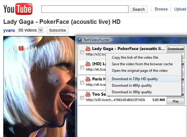 Скриншот 4 программы NetVideoHunter