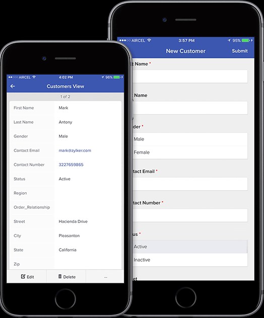 Скриншот 5 программы Zoho Creator