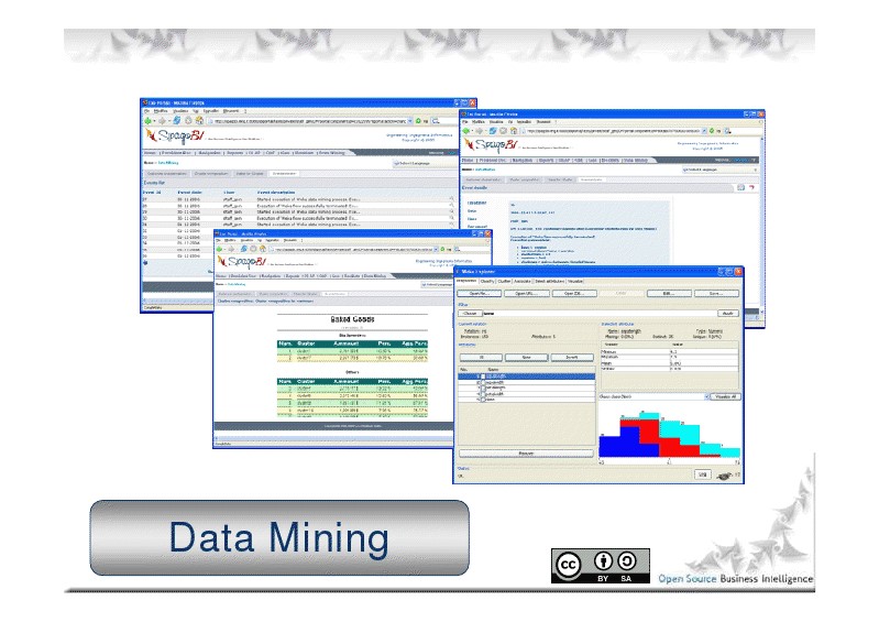Скриншот 3 программы SpagoBI