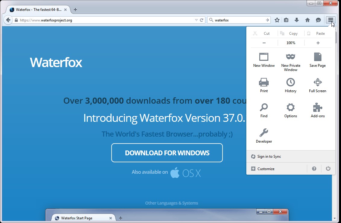 Скриншот 6 программы Waterfox